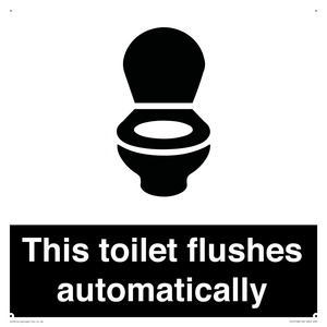 This toilet flushes automatically